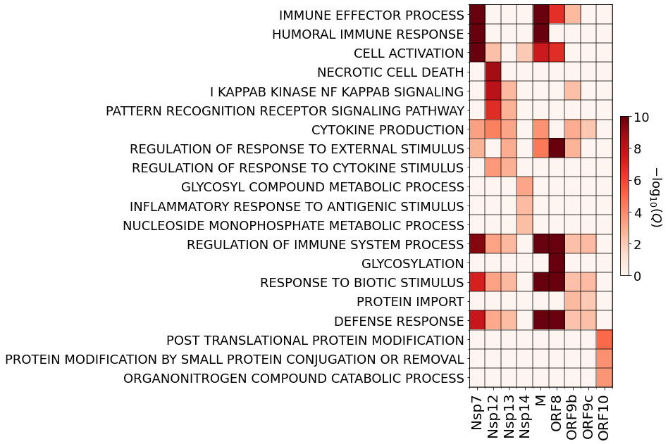 _images/output_31_0.png