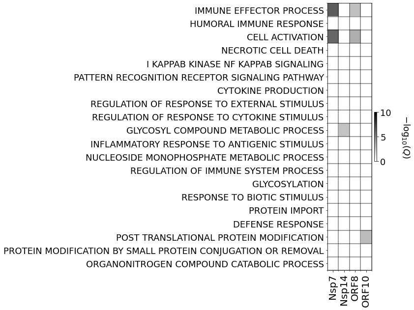 _images/output_37_0.png